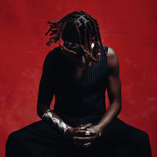 COVER HOUSE OF BIRDS COVER HOUSE OF BIRDS