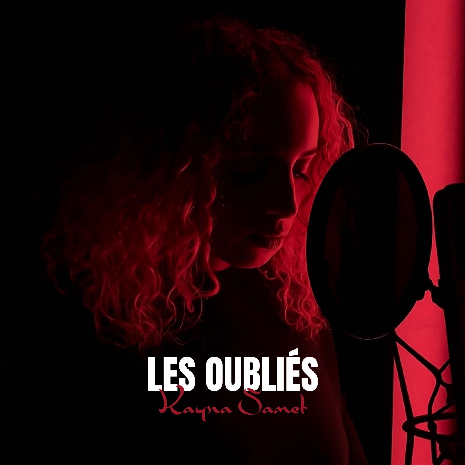Kayna Samet_Les Oubliés_Cover Définitive Kayna Samet_Les Oubliés_Cover Définitive